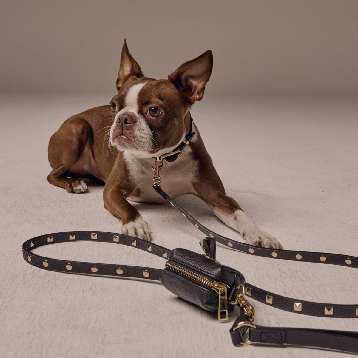 Louis Vuitton Dog Collar and Leash -  Sweden