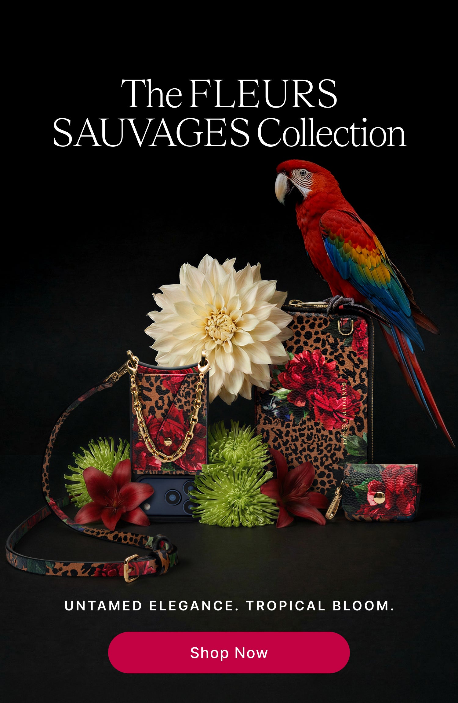 Product showcase slide