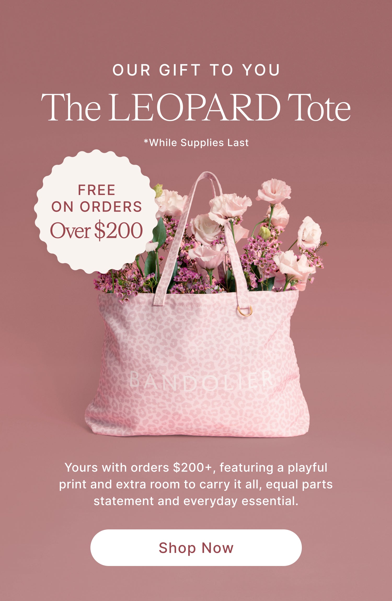 Product showcase slide