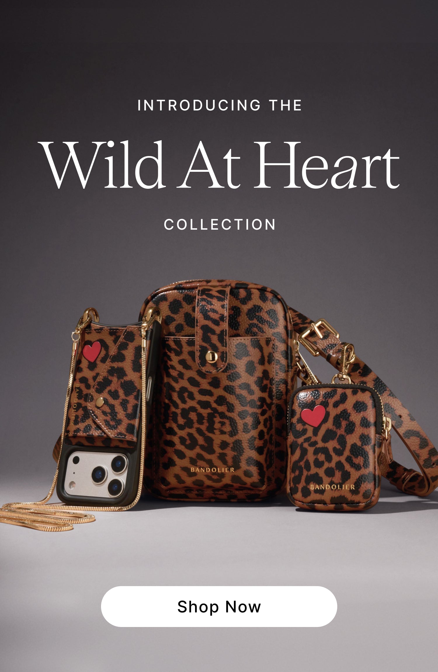 Product showcase slide