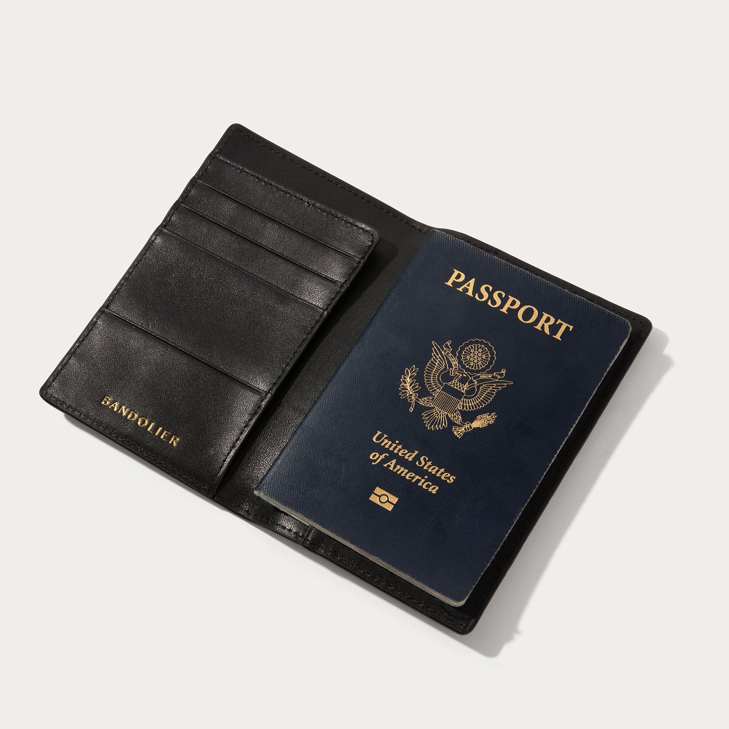PASSPORT HOLDER image