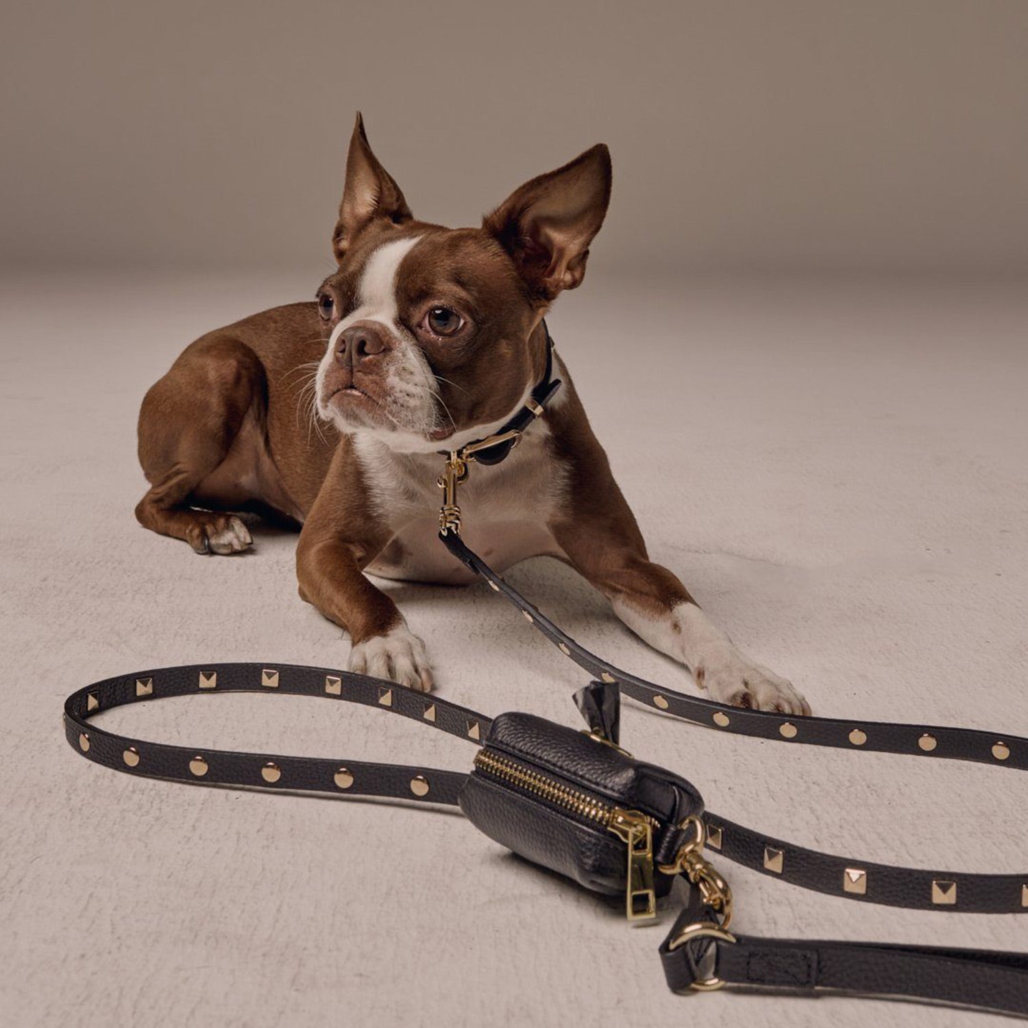 The Sarah Dog Leash - Black/Gold Accessories Bandolier 